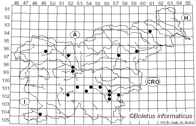 <i>Otidea alutacea</i> (Pers.) Massee (1895)