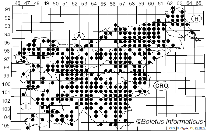 <i>Ramaria</i> Fr. ex Bonord. (1851)
