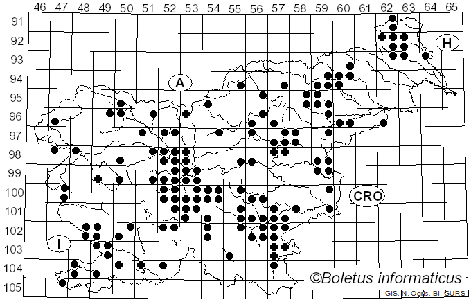 <i>Hygrophorus russula</i> (Fr.) Kauffman (1918)