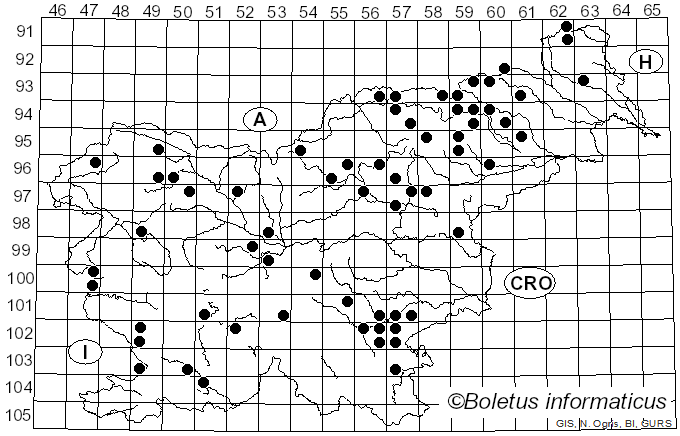 <i>Lycoperdon nigrescens</i> Wahlenb. (1794)