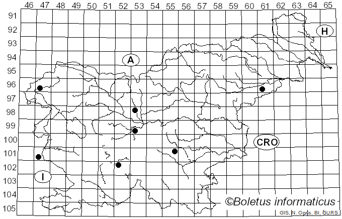 <i>Geastrum nanum</i> Pers. (1809)