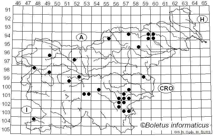 <i>Cortinarius helvolus</i> Fr.