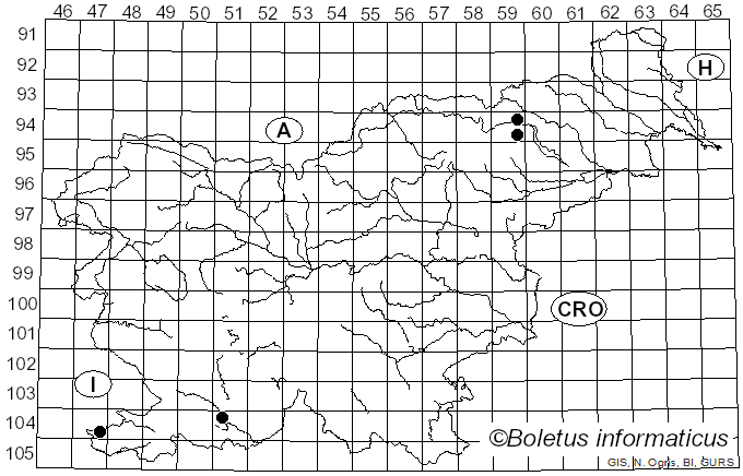 <i>Agaricus bernardii</i> Quél. (1878)