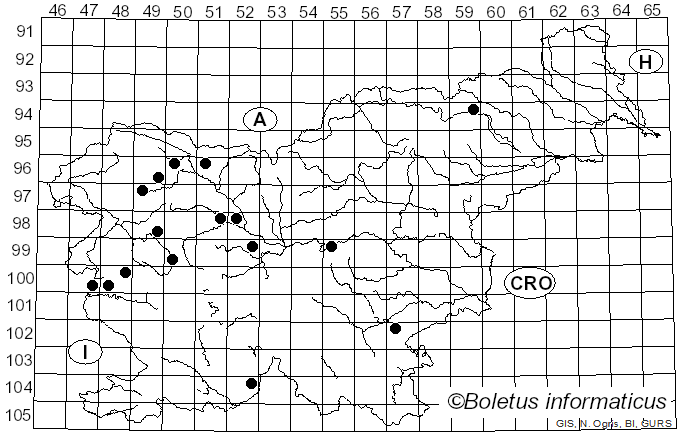 <i>Roridomyces roridus</i> (Scop.) Rexer (1994)