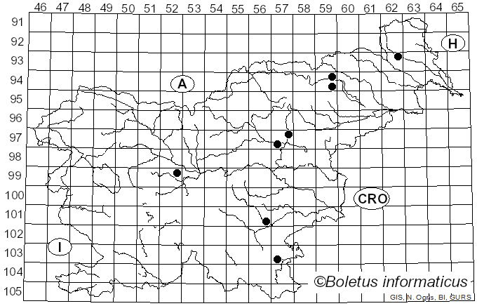 <i>Tricholoma sejunctum</i> var. <i>fagetorum</i> Bon & Boutev. (1976)