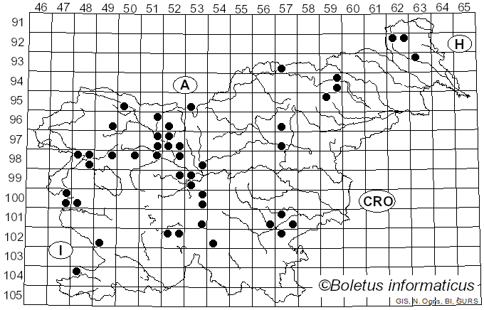 <i>Cystoderma cinnabarinum</i> (Alb. & Schwein.) Fayod (1889)