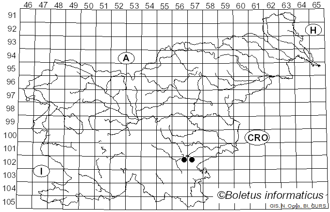<i>Myriostoma coliforme</i> (Dicks.) Corda (1842)