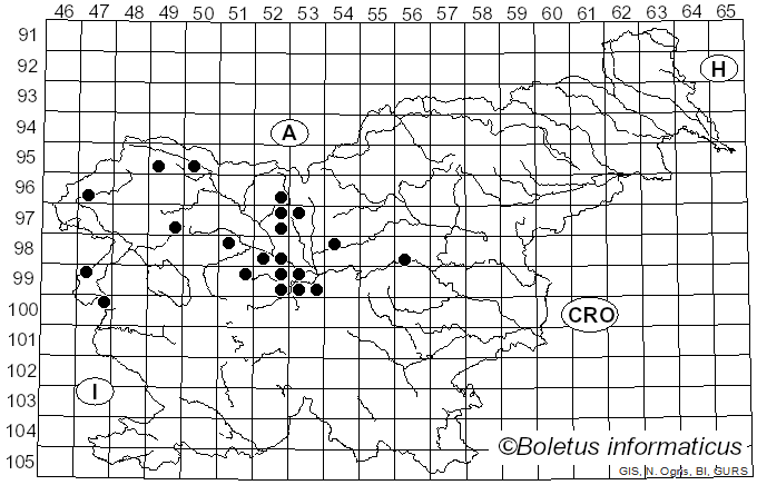 <i>Urocystis</i> Rabenh. ex Fuckel (1870)
