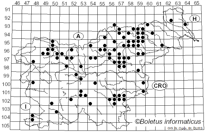 <i>Russula paludosa</i> Britzelm. (1891)