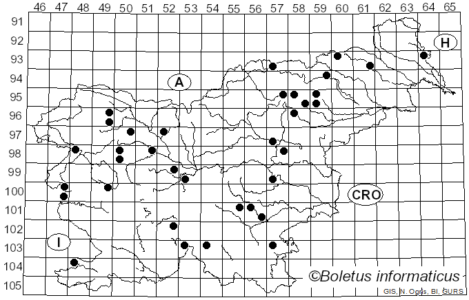 <i>Cortinarius triformis</i> Fr. (1838)