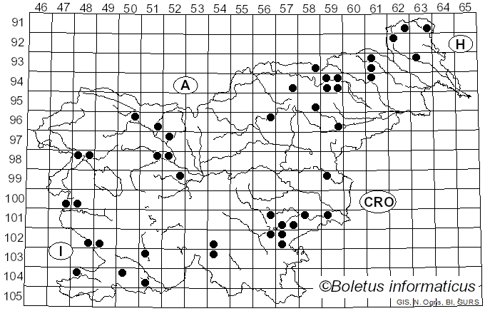 <i>Tephrocybe rancida</i> (Fr.) Donk (1962)
