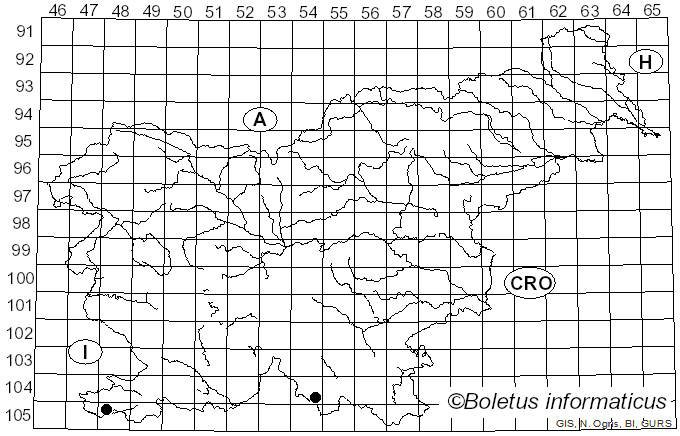 <i>Trechispora fastidiosa</i> (Pers.) Liberta (1966)