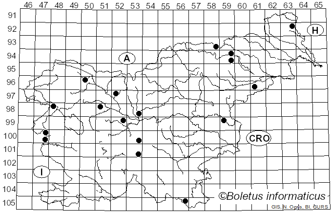 <i>Cyathus stercoreus</i> (Schwein.) De Toni (1888)