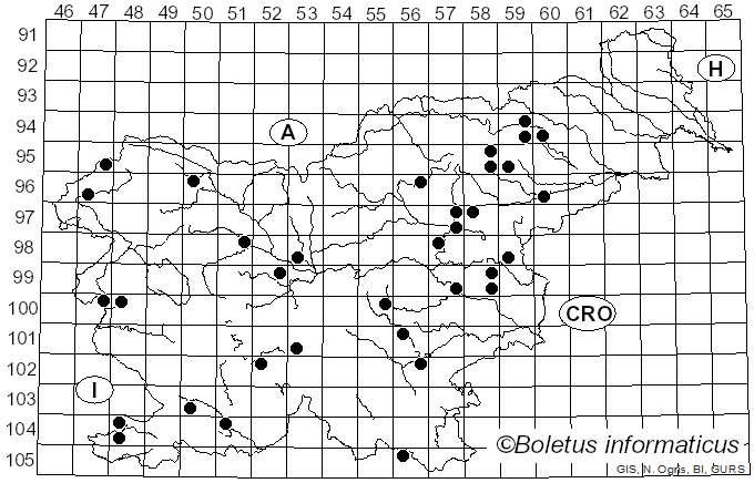 <i>Hericium erinaceus</i> (Bull.) Pers. (1797)