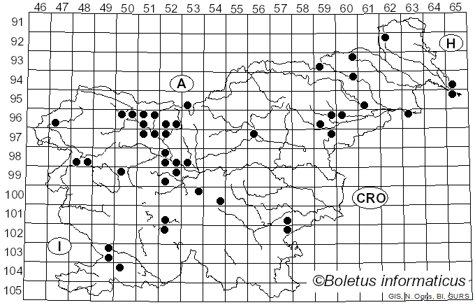 <i>Sarcoscypha austriaca</i> (Beck ex Sacc.) Boud. (1907)