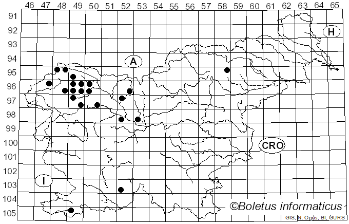<i>Usnea hirta</i> (L.) Weber ex F.H. Wigg. (1780)