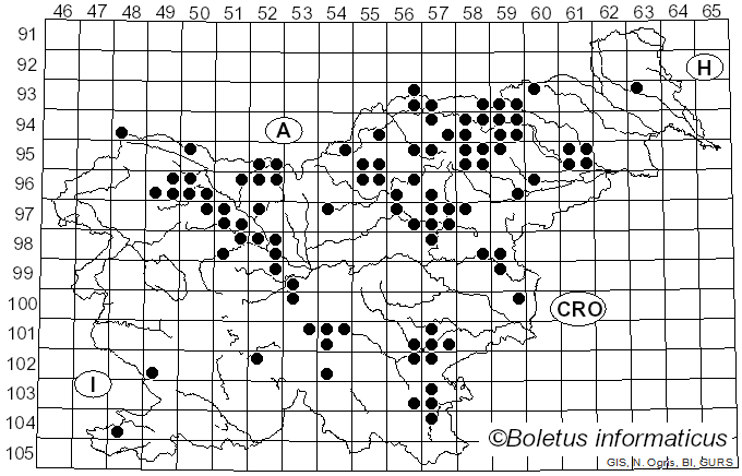 <i>Russula decolorans</i> (Fr.) Fr. (1838)