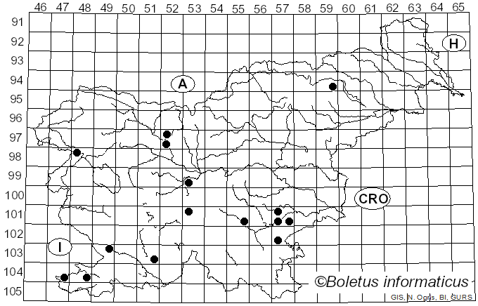 <i>Dissingia leucomelaena</i> (Pers.) K. Hansen & X.H. Wang (2019)