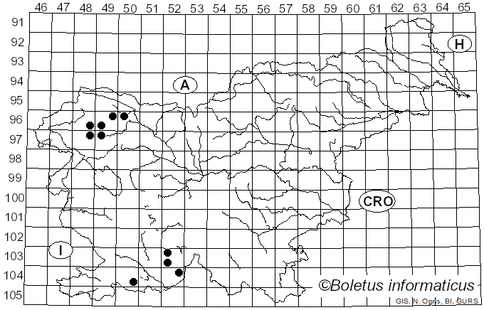 <i>Collema auriforme</i> (With.) Coppins & J.R. Laundon (1984)