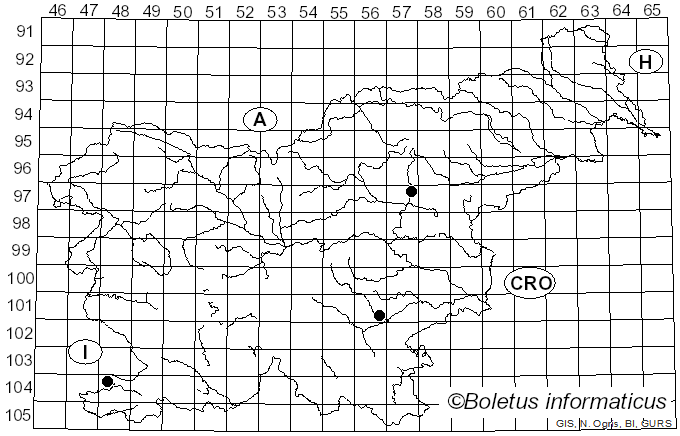 <i>Sowerbyella imperialis</i> (Peck) Korf (1971)
