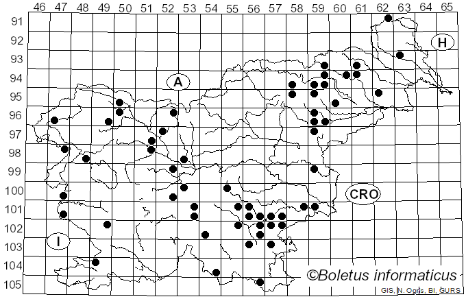 <i>Crepidotus cesatii</i> (Rabenh.) Sacc. (1877)