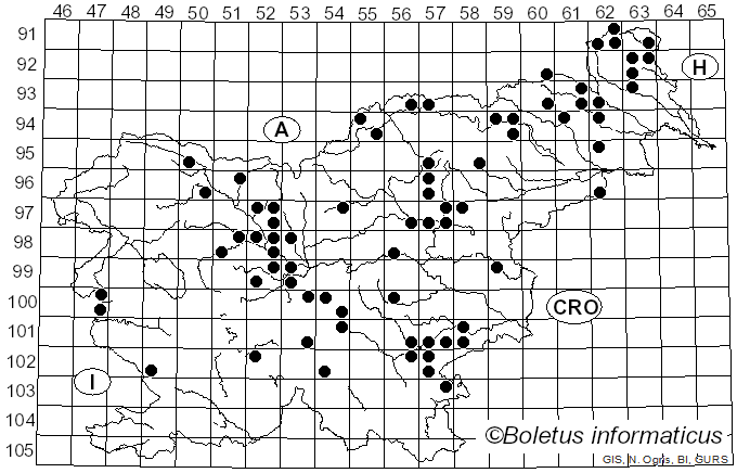 <i>Cortinarius armillatus</i> (Alb. & Schwein.) Fr.