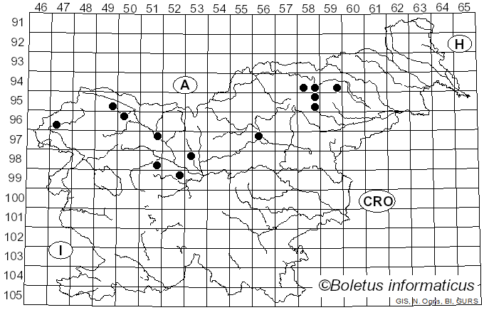 <i>Cudoniella clavus</i> (Alb. & Schwein.) Dennis (1964)