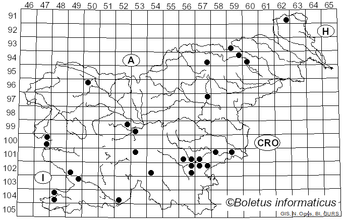 <i>Lyophyllum transforme</i> (Britzelm.) Singer (1943)