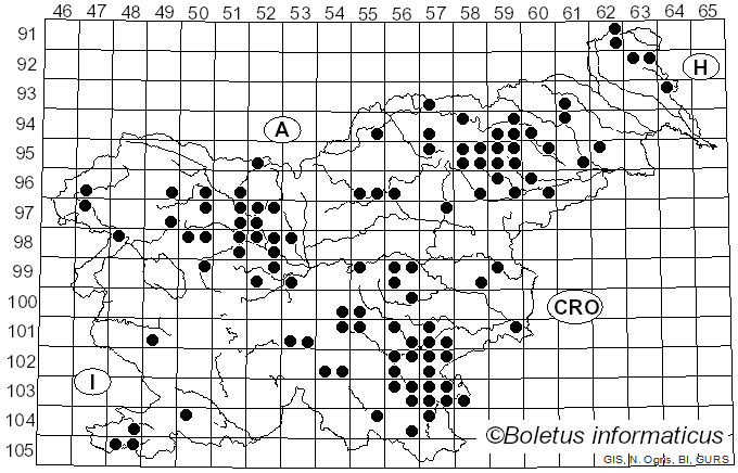 <i>Lactifluus</i> (Pers.) Roussel (1806)