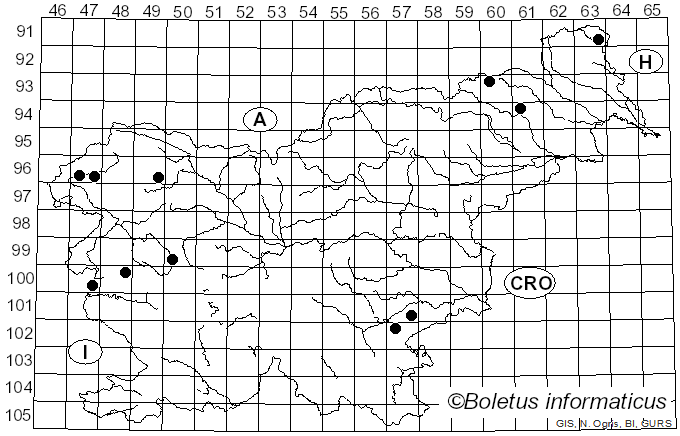 <i>Mycena metata</i> (Secr. ex Fr.) Quél. (1871)