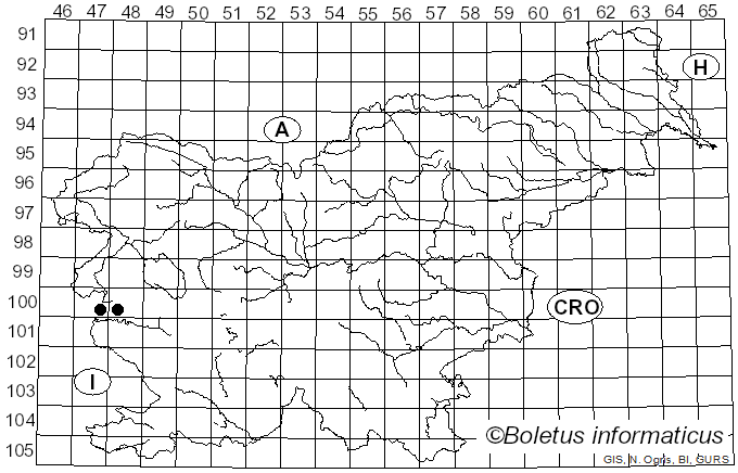 <i>Leucoagaricus jubilaei</i> (Joss.) Bon (1983)