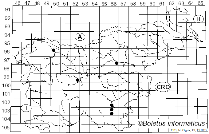 <i>Geoscypha ampelina</i> (Gillet) Van Vooren & Dougoud (2020)