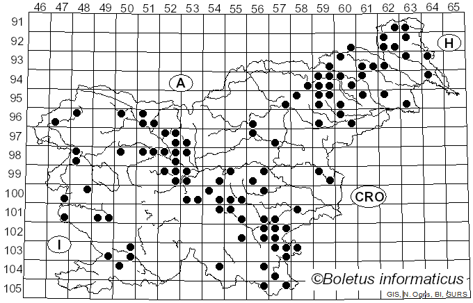 <i>Hymenochaete rubiginosa</i> (Dicks.) Lév. (1846)