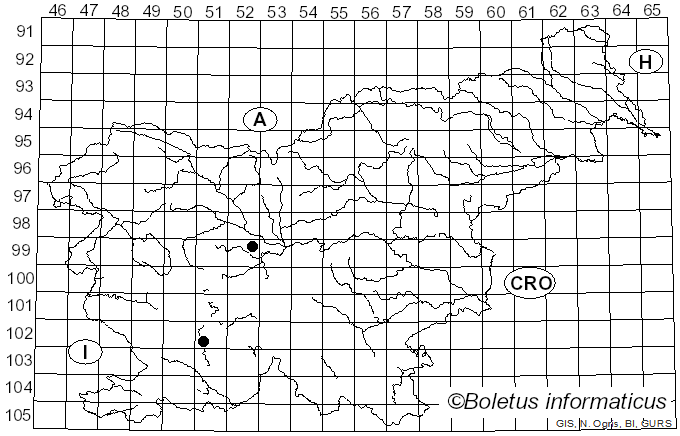 <i>Lachnum</i> Retz. (1795)