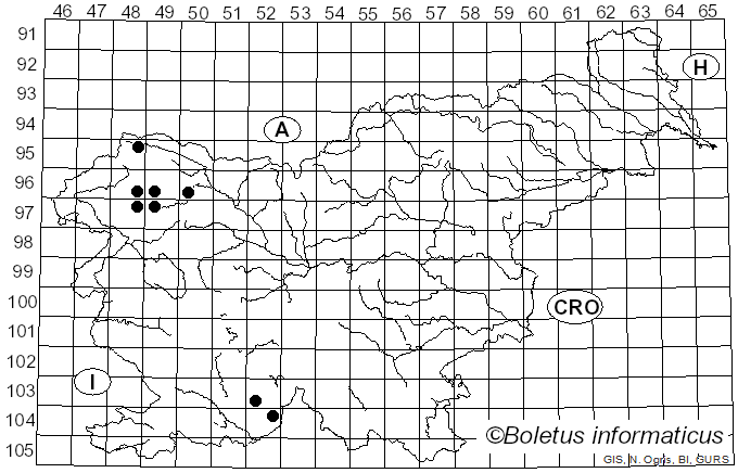 <i>Placynthiella icmalea</i> (Ach.) Coppins & P. James (1984)