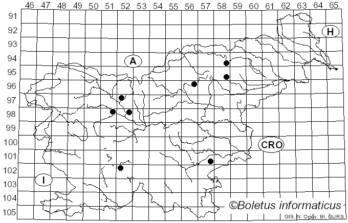 <i>Tricholoma striatum</i> (Schaeff.) Sacc. (1915)
