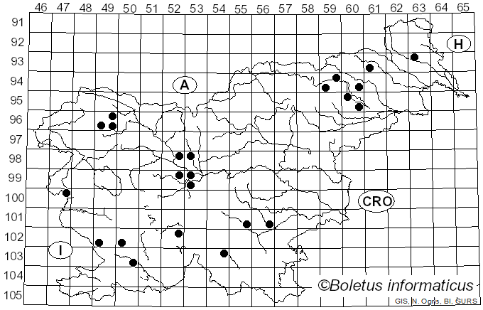 <i>Clitocybe squamulosa</i> (Pers.) Fr. (1821)