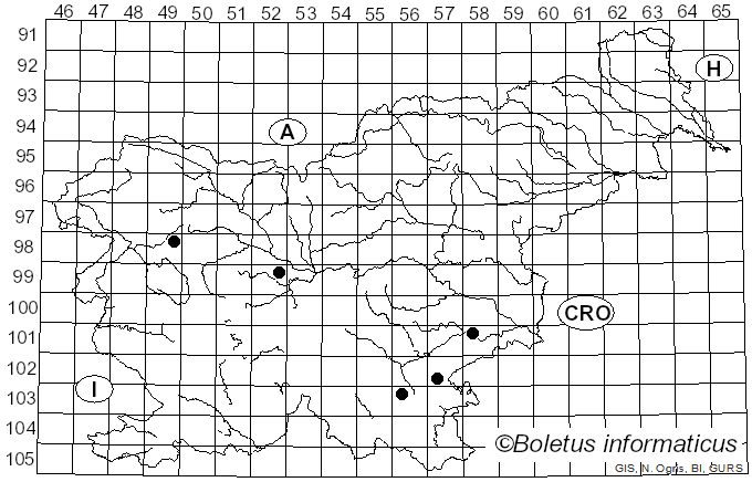 <i>Pluteus insidiosus</i> Vellinga & Schreurs (1985)