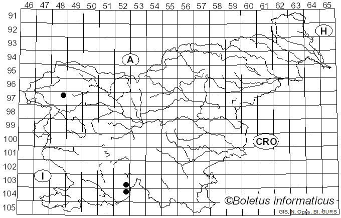 <i>Micarea denigrata</i> (Fr.) Hedl. (1892)