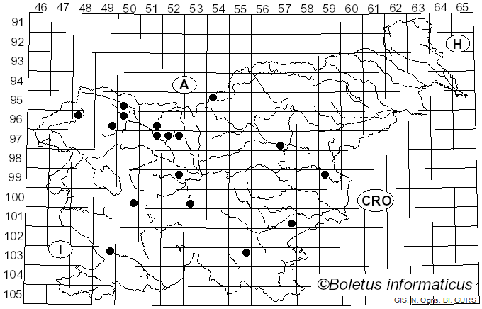 <i>Exidia pithya</i> (Alb. & Schwein.) Fr. (1822)