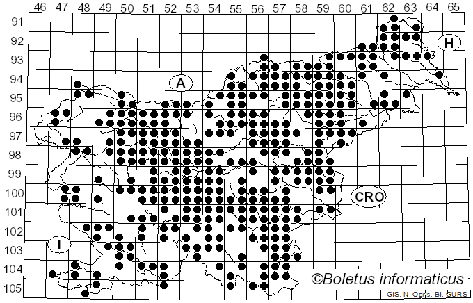 <i>Amanita rubescens</i> Pers. (1797)