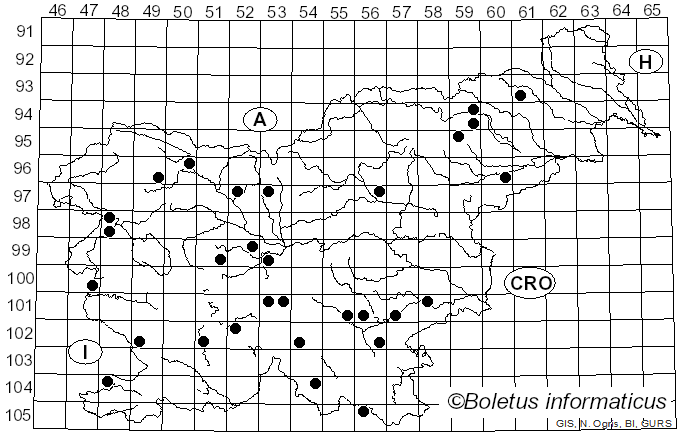 <i>Hydnoporia tabacina</i> (Sowerby) Spirin, Miettinen & K.H. Larss. (2019)