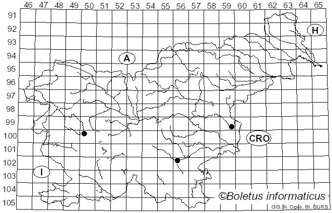 <i>Ramaria apiculata</i> (Fr.) Donk (1933)