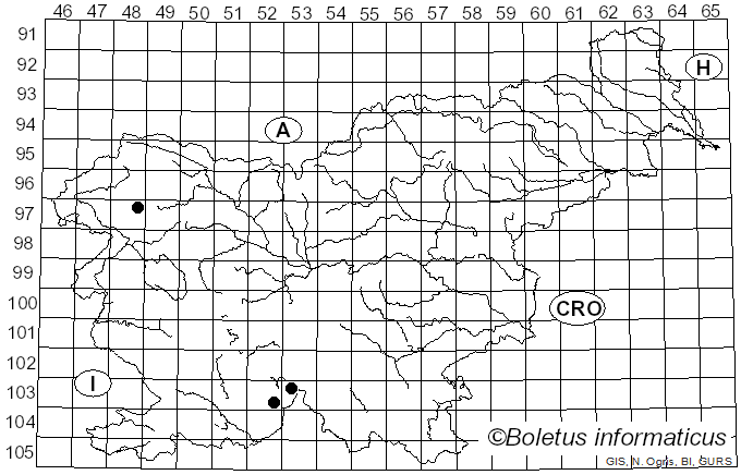 <i>Bacidia absistens</i> (Nyl.) Arnold (1870)