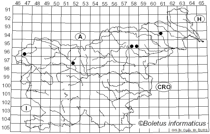 <i>Leucocybe candicans</i> (Pers.) Vizzini, P. Alvarado, G. Moreno & Consiglio (2015)