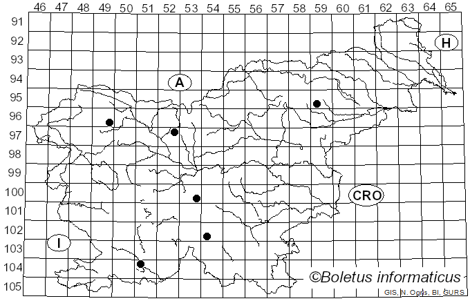 <i>Hypholoma ericaeum</i> (Pers.) Kühner (1936)