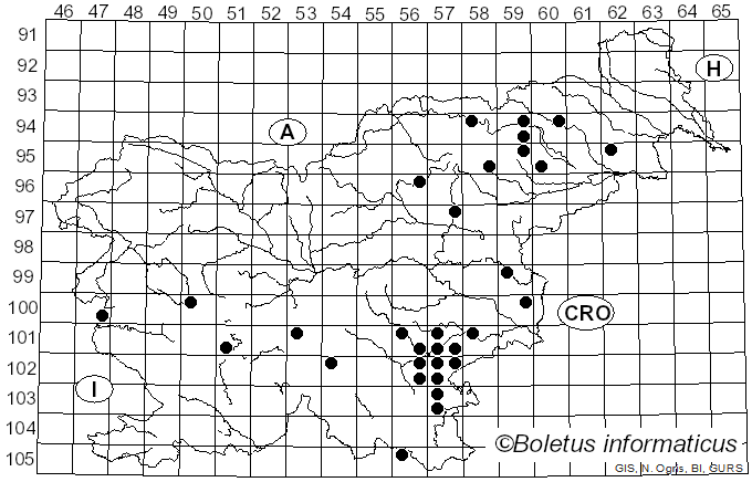 <i>Lactarius lacunarum</i> Romagn. ex Hora (1960)