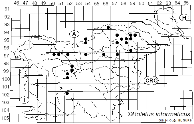 <i>Lactarius repraesentaneus</i> Britzelm. (1885)
