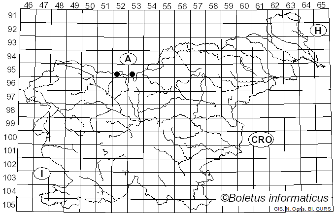 <i>Giacomia</i> Vizzini & Contu (2012)