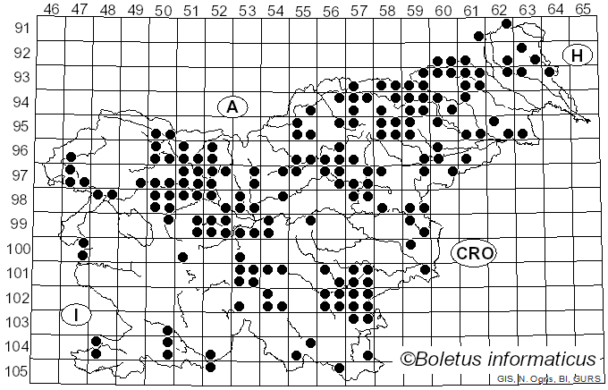 <i>Strobilomyces strobilaceus</i> (Scop.) Berk. (1860)